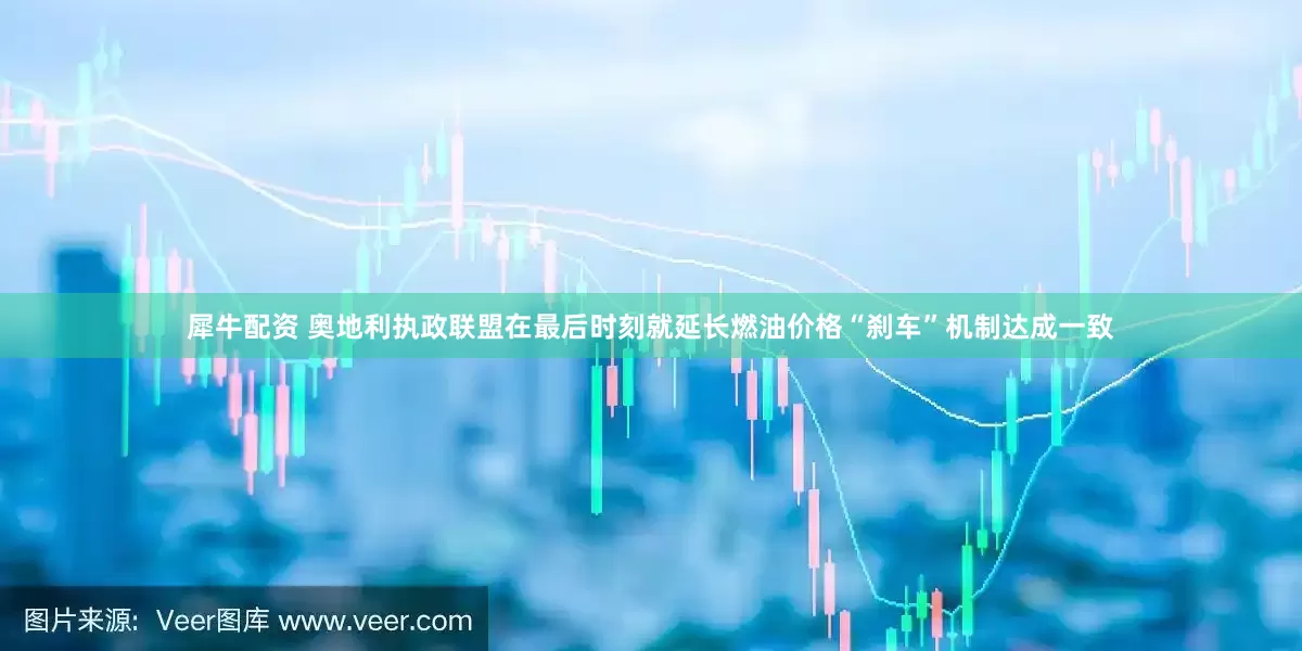 犀牛配资 奥地利执政联盟在最后时刻就延长燃油价格“刹车”机制达成一致